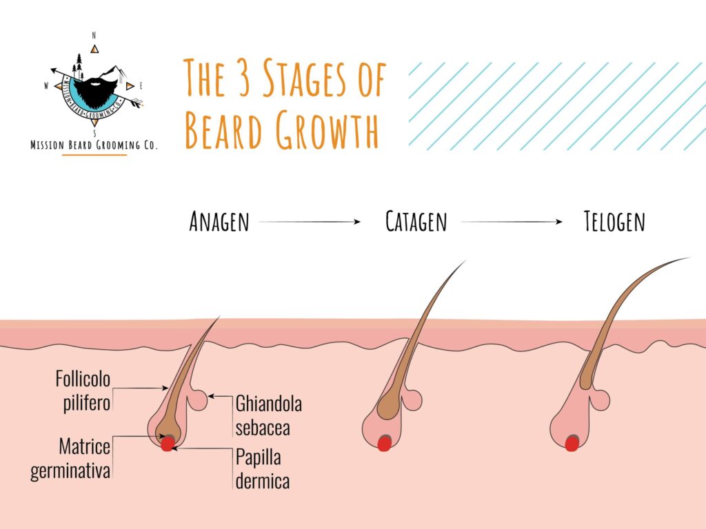 Does Smoking Affect Beard Growth?