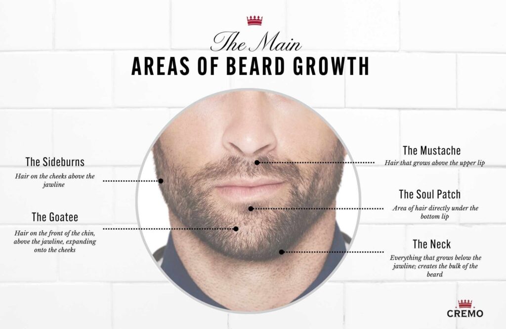 How Do Hormones Affect Beard Growth?