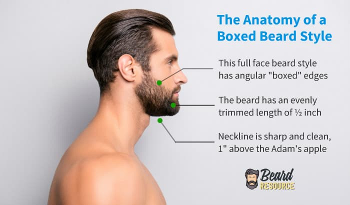 What Is The Difference Between A Full Beard And A Short Boxed Beard?