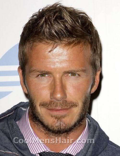 How To Get A Beard Like David Beckhams?